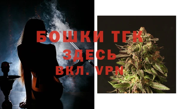 сатива Гатчина
