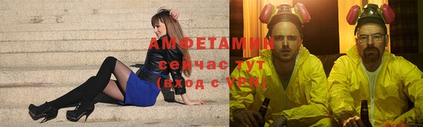 мет Алексин