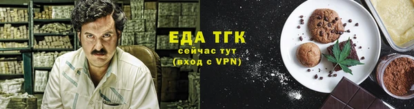 мет Алексин
