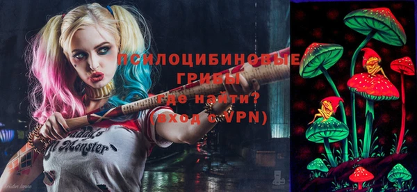 прущие грибы Алексеевка