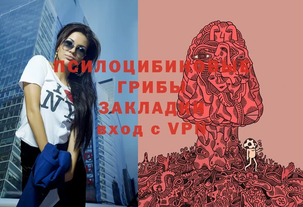 прущие грибы Алексеевка