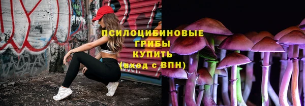 прущие грибы Алексеевка