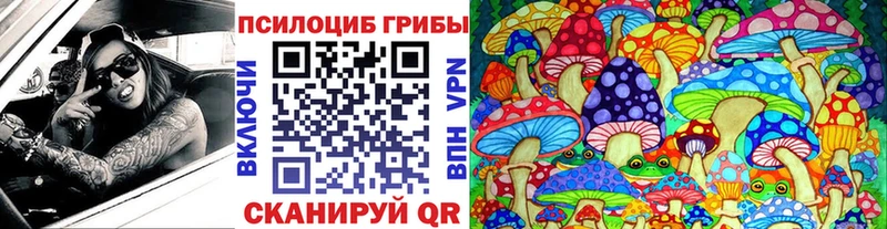 Галлюциногенные грибы Psilocybine cubensis  МЕГА ТОР  Курлово 